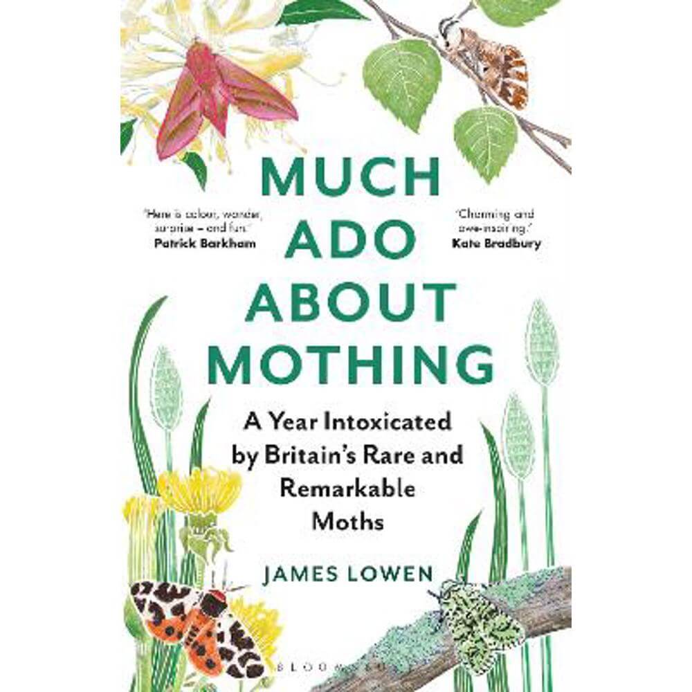 Much Ado About Mothing: A year intoxicated by Britain's rare and remarkable moths (Paperback) - James Lowen